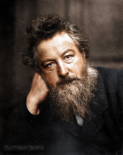 MORRIS CO William Morris